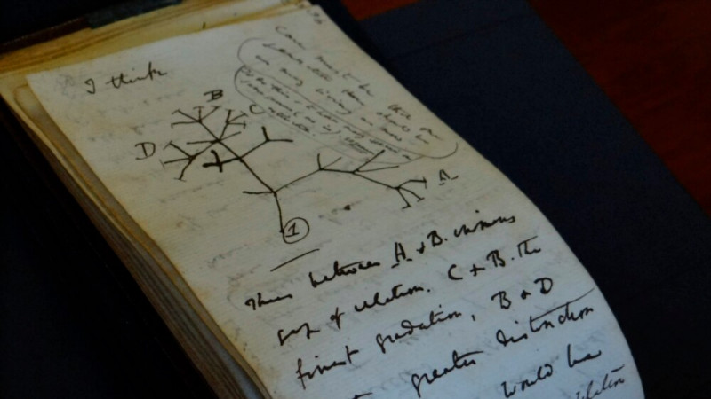 Charles Darwin's Notebooks Returned to Cambridge University after 20 Years