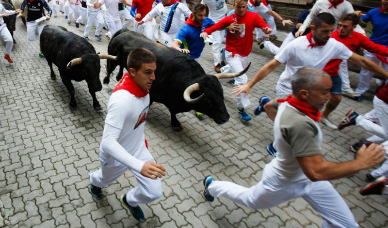 How Crowds Run When Bulls Charge