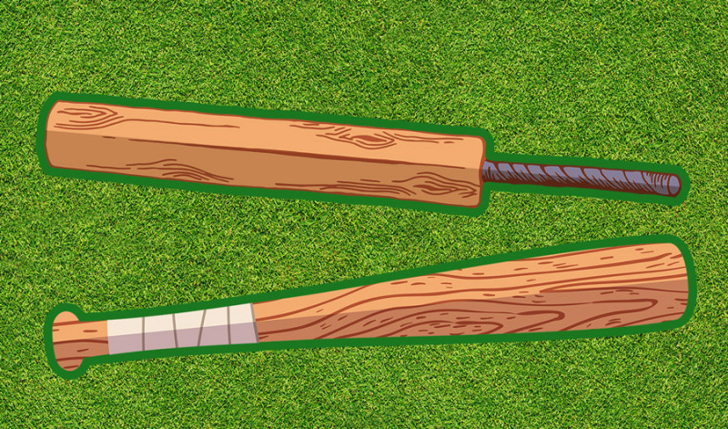 What's the Best Wood for Cricket or Baseball Bats?