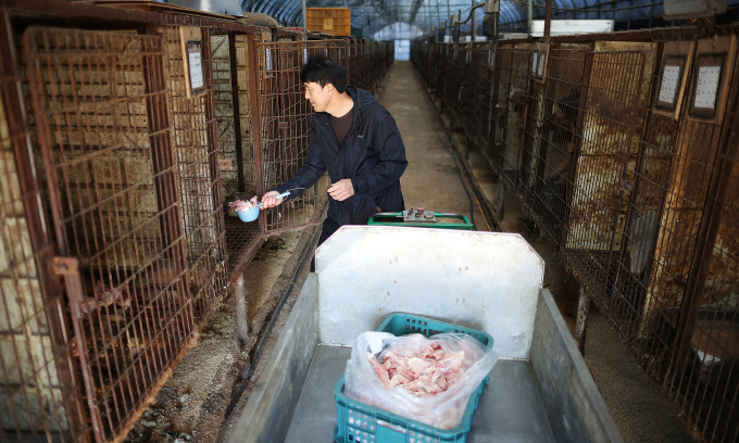 'Cows are living animals too': vendors, customers oppose S. Korea dog meat ban