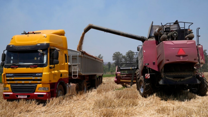 Zimbabwe Expecting Largest Ever Wheat Harvest