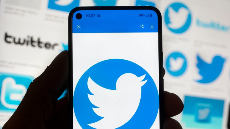 Users Concerned about Twitter Seek Alternative Services