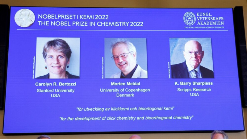 American, Danish Chemists Win Nobel Prize for Work Leading to New Medicines