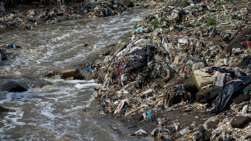 Plastic-eating Enzyme from Worm May Help Ease Pollution