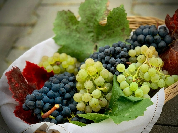 Black grapes vs green grapes: Which is healthier?