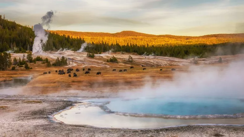 Yellowstone Emits As Much Carbon Dioxide as an Erupting Volcano