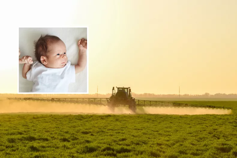 Common Herbicide Linked to Low Birth Weights in Rural Areas