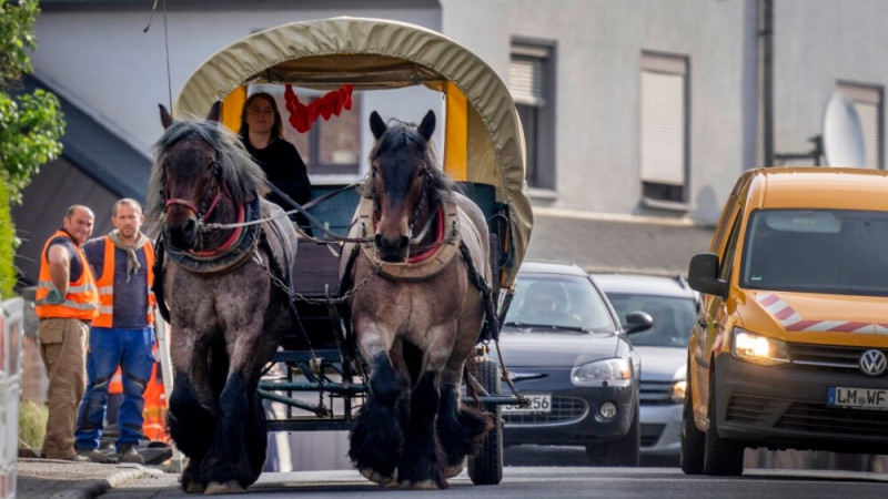 German Woman Uses Horse Power to Save Fuel Money