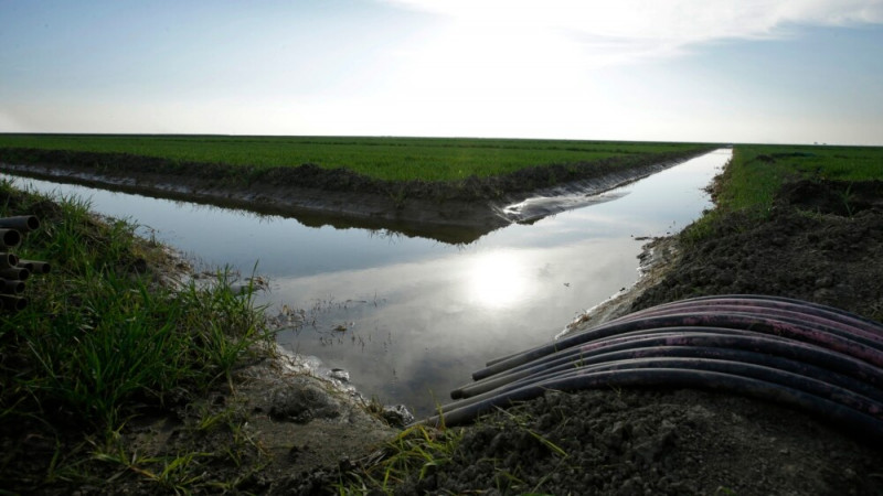 California Wants to Buy out Farmers to Save Water