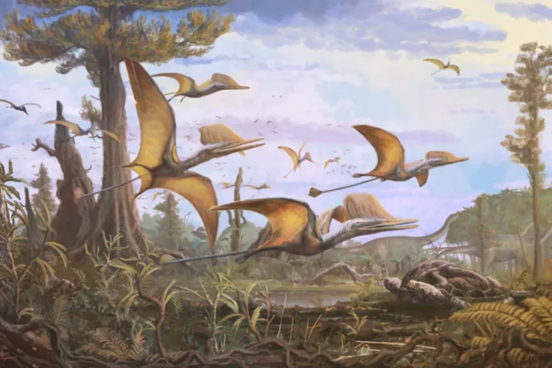 New Pterosaur Species Discovered a 'Complete Surprise'