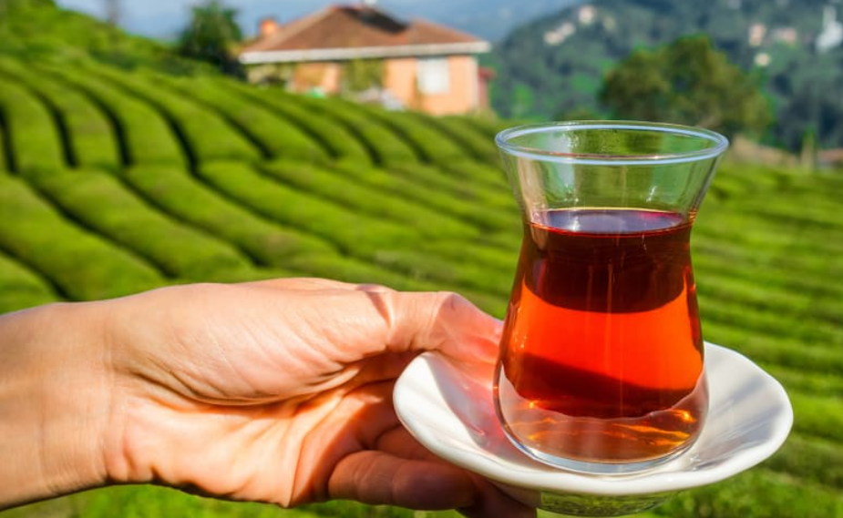 How new brews are stirring up Turkey's tea country