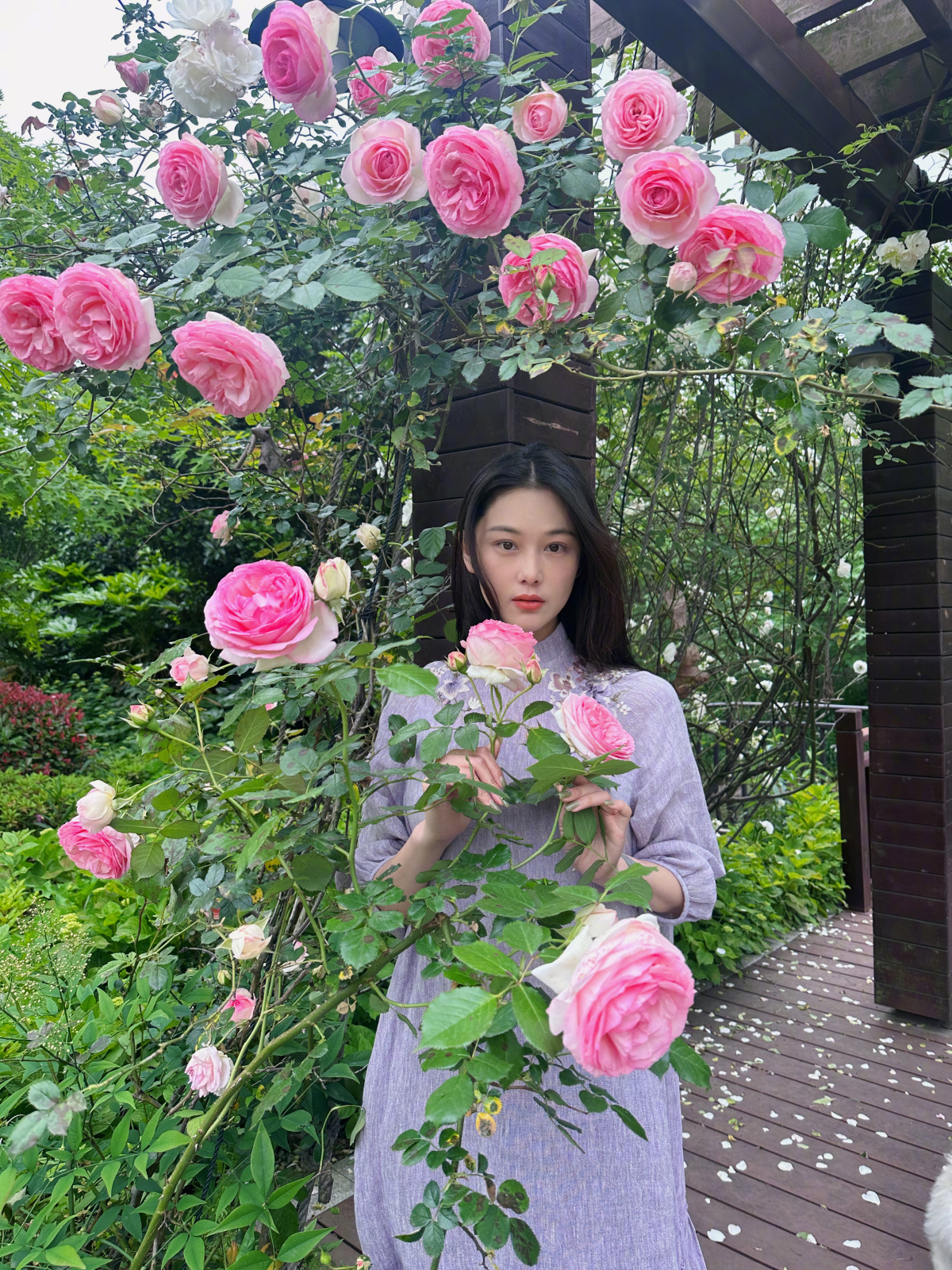 Chinese actress Zhang Xinyu finds serenity in self-cultivated rose garden