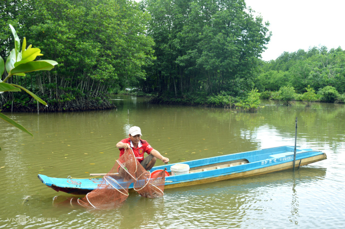 Mekong Delta's eco shrimp farming meets global standards