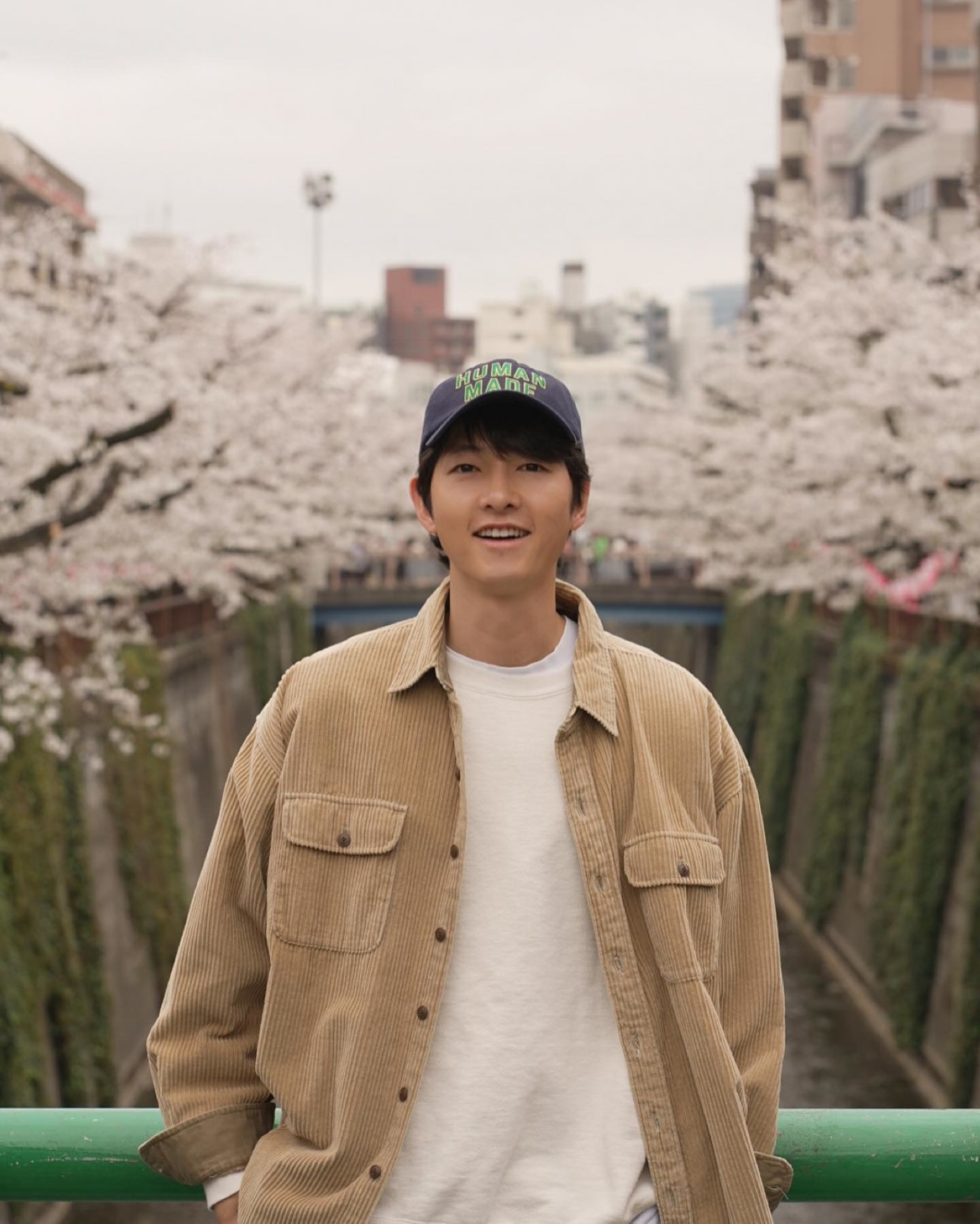 Blooming cherry blossoms attract Asian celebrities to Japan