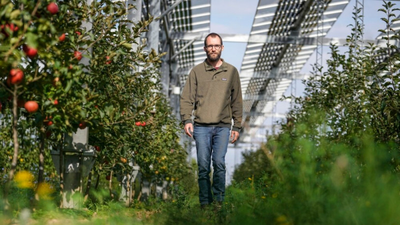 German Farmer Grows Fruit under Solar Power Equipment