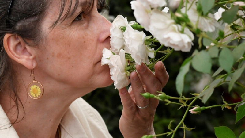Artificial Intelligence Tool Aims to Identify, Predict Smells