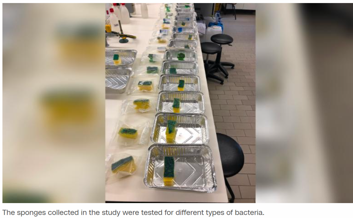 A sponge may not be the most hygienic way to clean dishes, study suggests, but there is an alternative