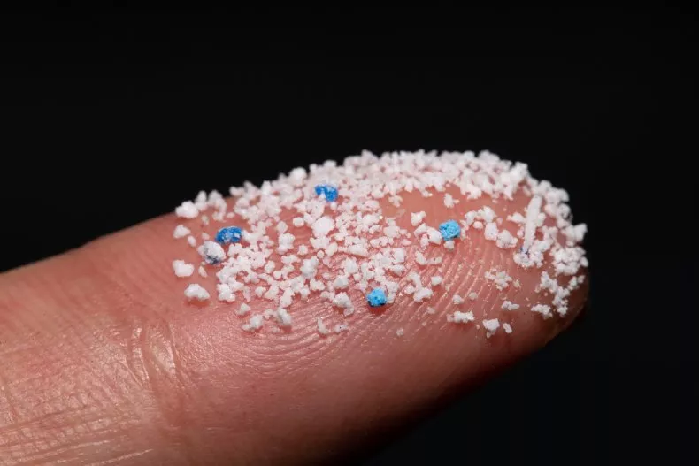 Microplastics May Increase Preterm Birth Risk, Scientists Warn