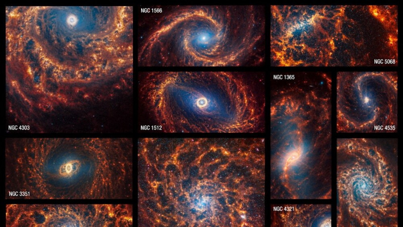 Webb Telescope Captures Images of 19 Spiral Galaxies