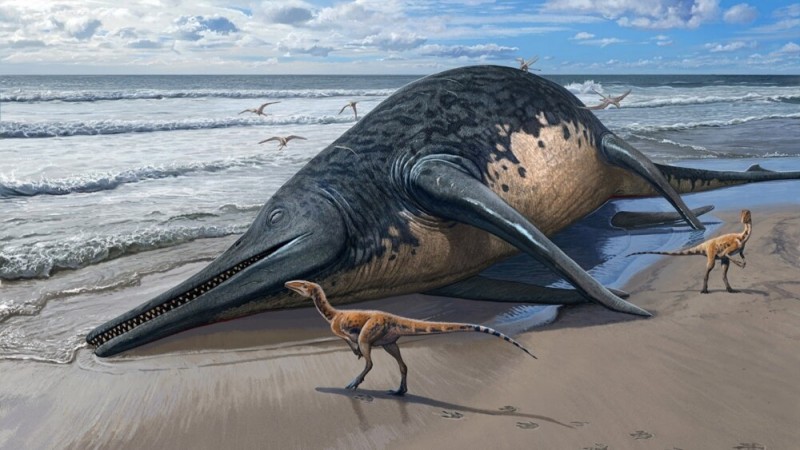 Giant Ocean Reptile Discovered by Father, Daughter