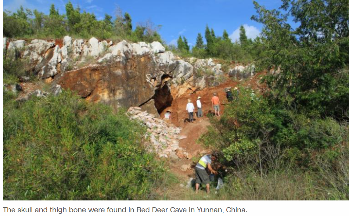 Identity of mystery fossils found in Chinese cave revealed by DNA analysis