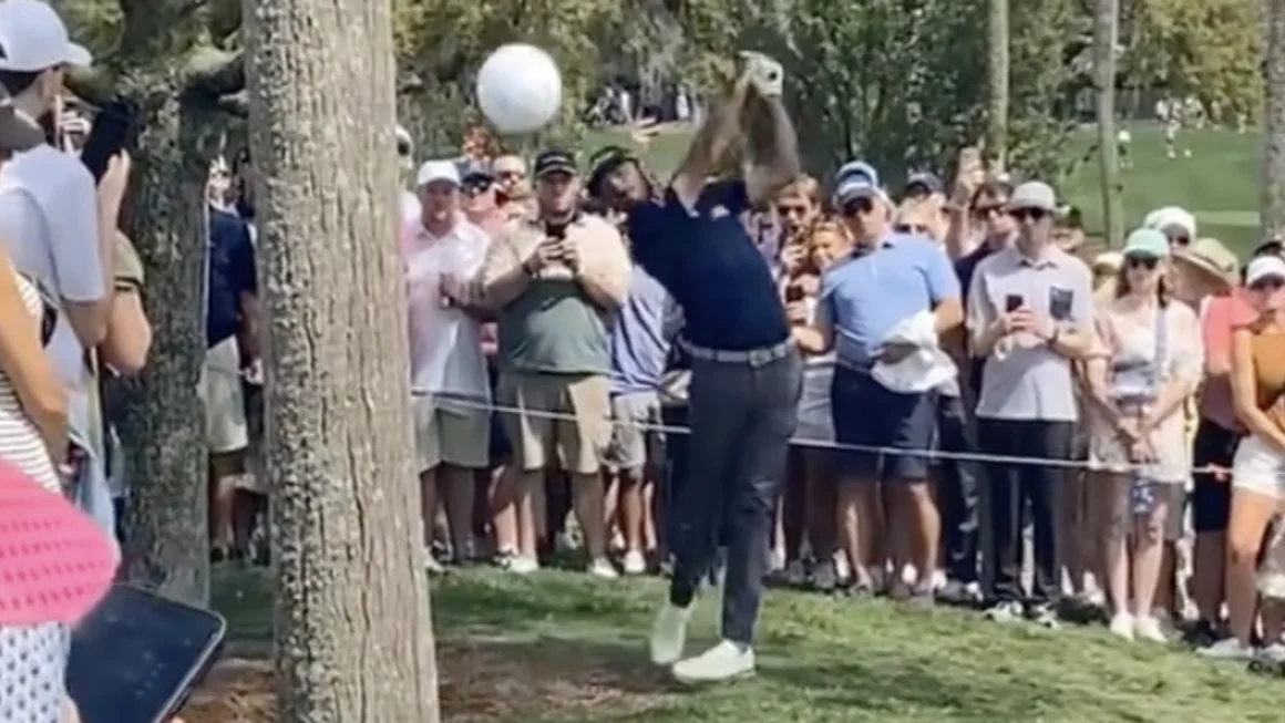 A pro golfer almost hit a fan in the head with his shot. The lucky escapee caught the ‘scary' moment on camera