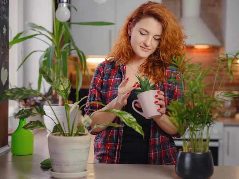 Scientists Reveal the Four Types of Plant Owners