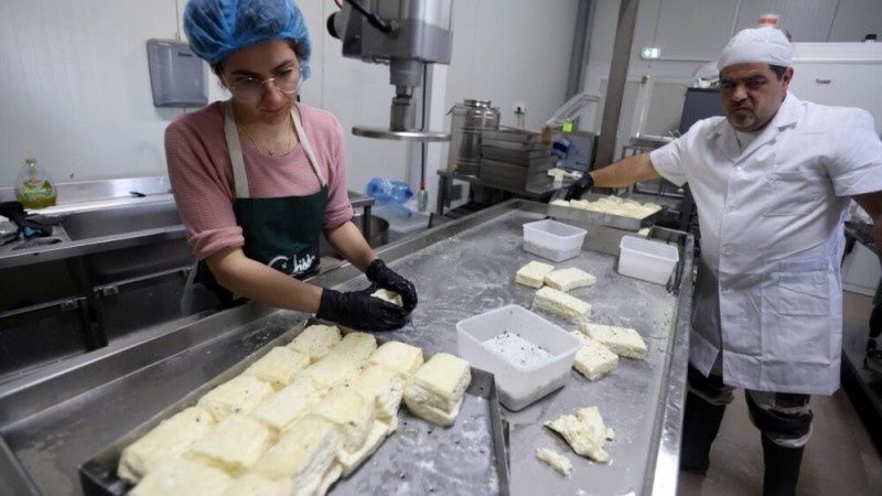 In Cyprus, Former Pilot Makes Halloumi Cheese the Old Ways