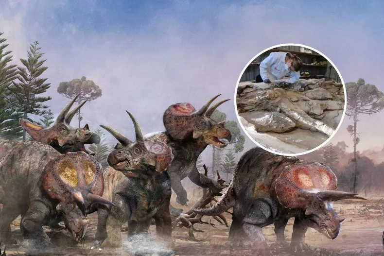 'Jurassic Park' Vindicated As Triceratops Shown To Have Lived in Herds