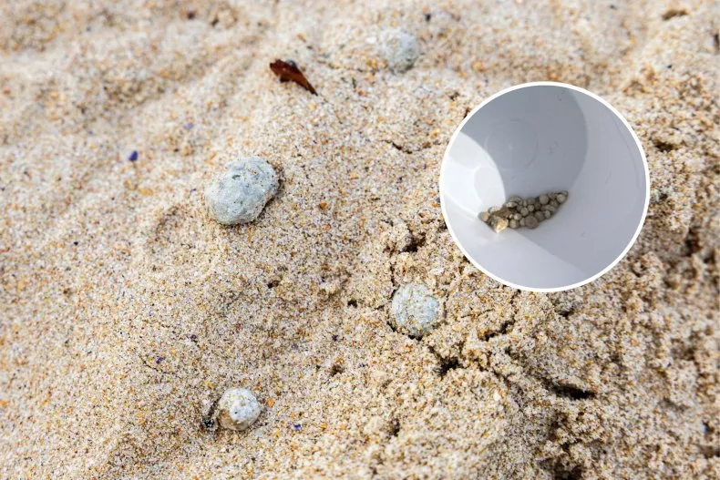 Mystery Balls on Beaches Found To Contain 'Fecal' Bacteria