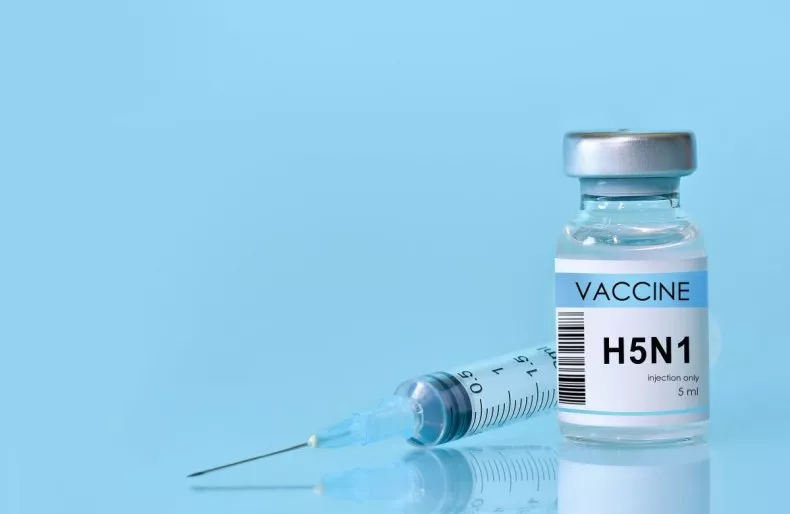 Why Is the US Not Vaccinating Poultry Against Bird Flu?