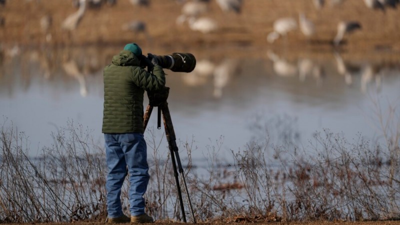 Birdwatchers Photograph Prized Waterbirds in Alabama